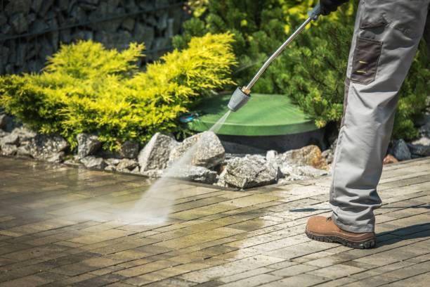 Best Dumpster Area Cleaning  in Adwolf, VA