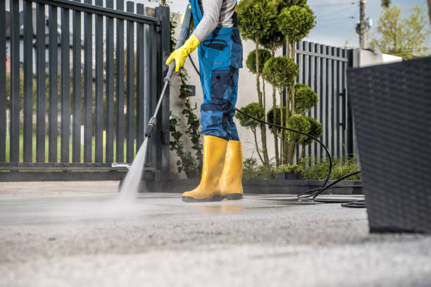 Best Solar Panel Cleaning  in Adwolf, VA